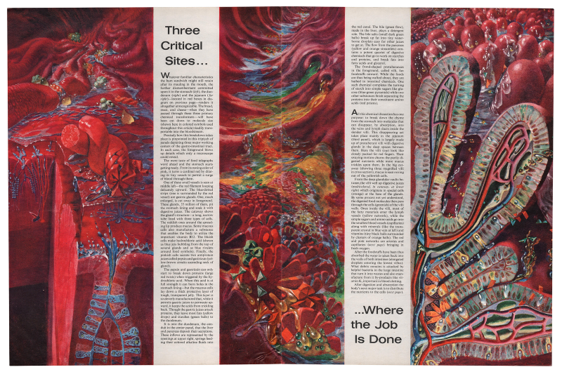 Illustration for article titled These medical illustrations are surrealist masterpieces
